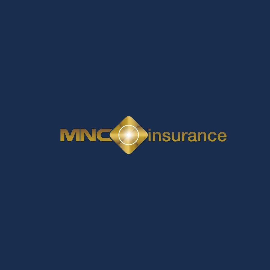 Logo 1
